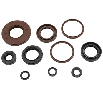 VERTEX ENGINE OIL SEAL KIT (02 1000)