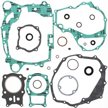 VERTEX GASKET SET & OIL SEALS (811970)