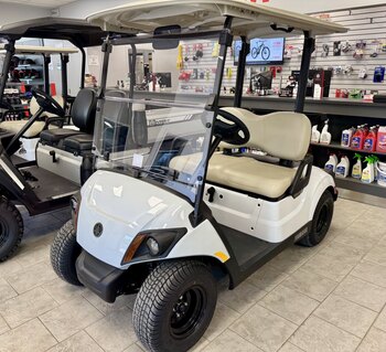 2025 Voiturette Yamaha UMAX Rallye Blanc Glacier