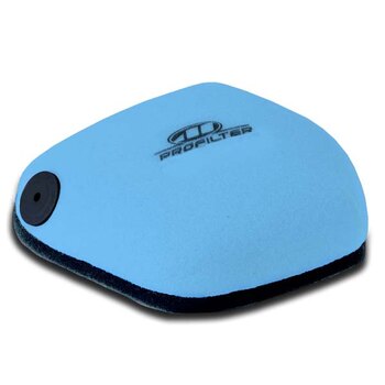 PROFILTER PRÊT À L'EMPLOI FILTRE À AIR DE REMPLACEMENT (AFR 2010 02)