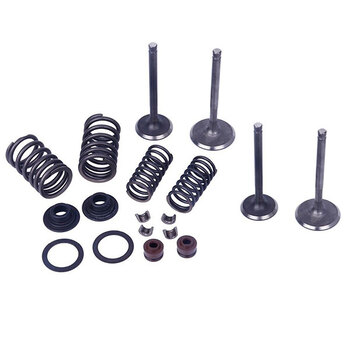MOGO PARTS VALVE KIT, H 50CC (61 0200)
