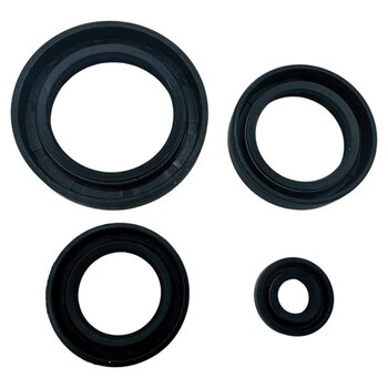 VERTEX ENGINE OIL SEAL KIT (02 1000)