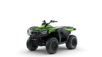 2024 Arctic Cat Alterra 300