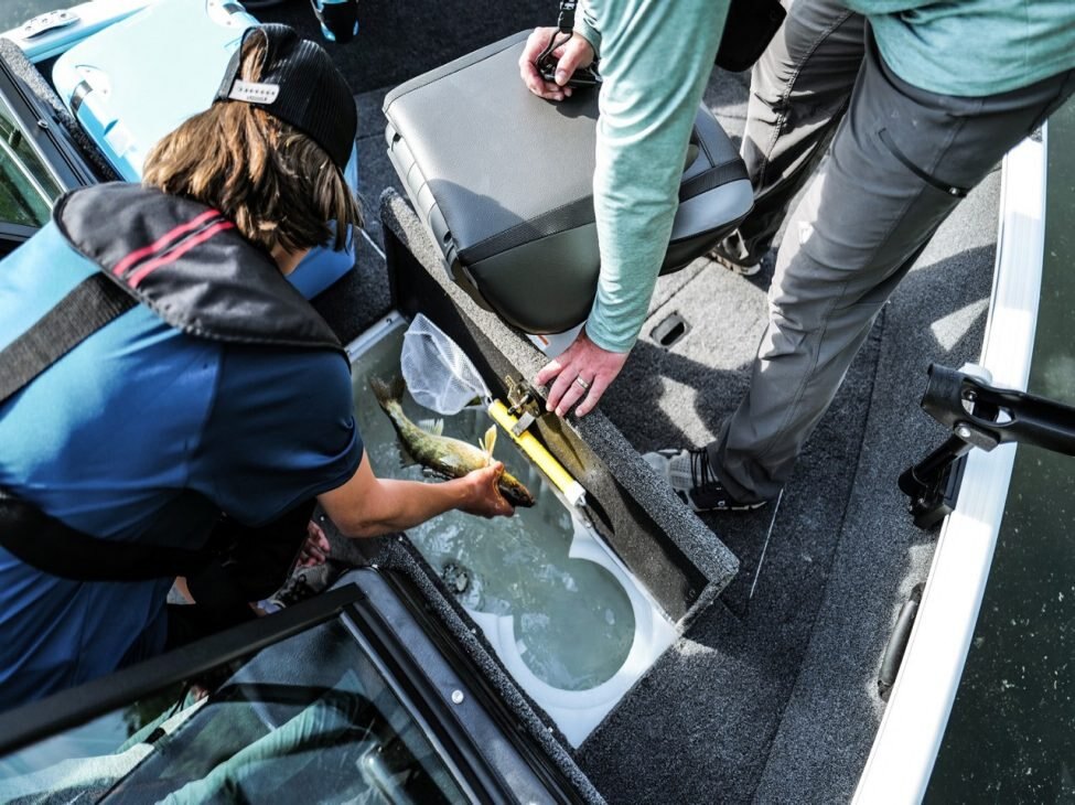 2026 Lund 1650 Rebel XL Tiller