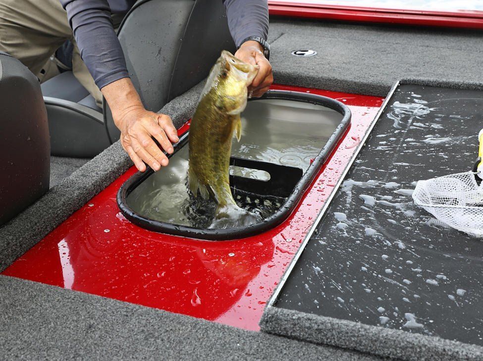 2026 Lund 1775 Renegade SS