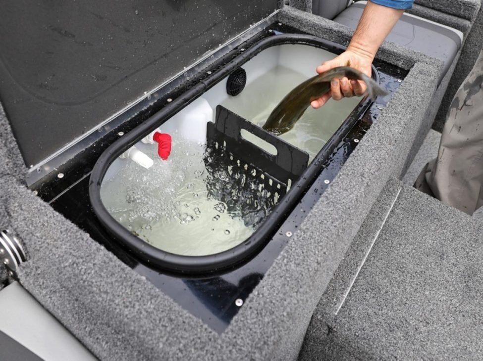 2026 Lund 1875 Renegade SS