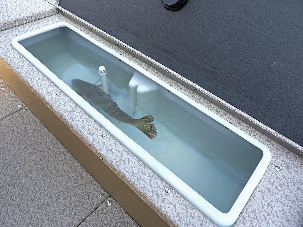 2026 Lund 1675 Alaskan Tiller