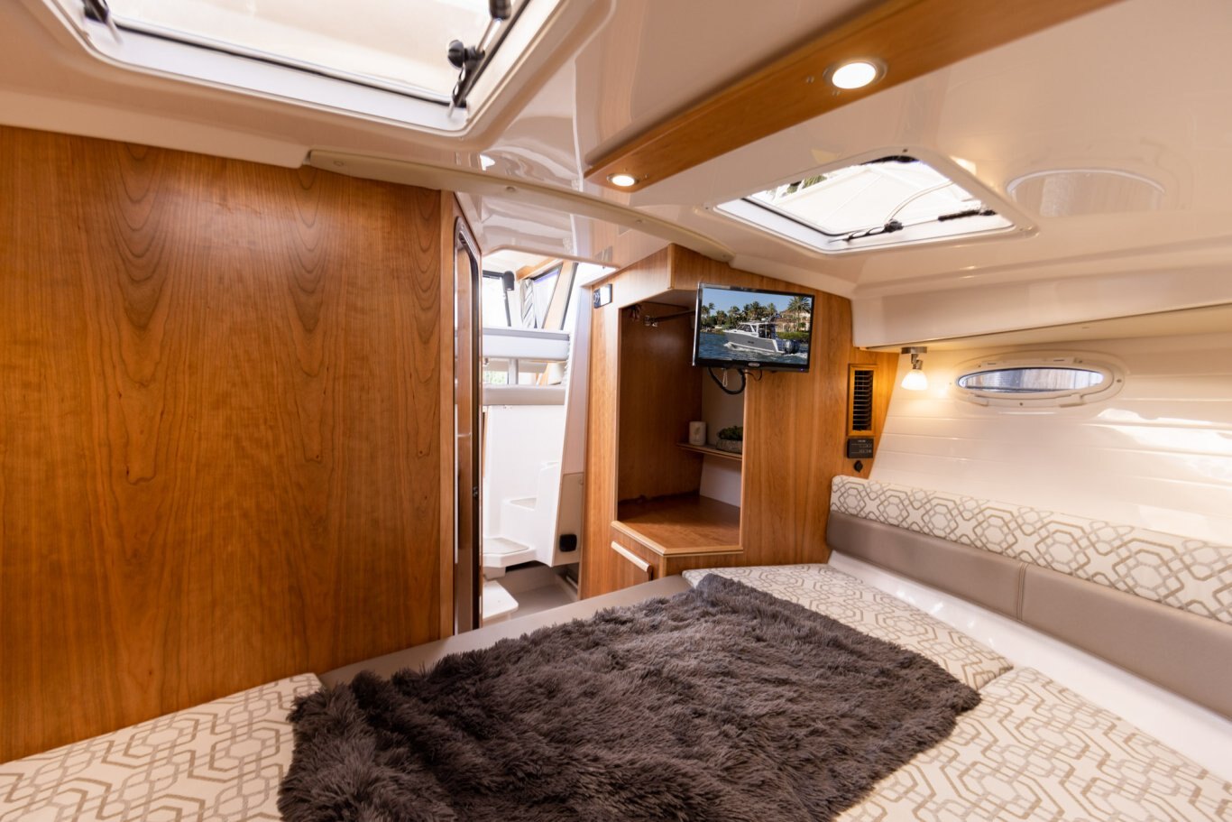 Cutwater C 288 COUPE