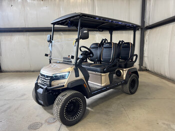 CLUB CAR TEMPO