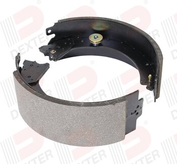 RH 12 1/4 x 4 DEXTER Shoe Kit