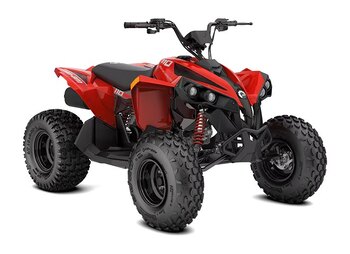 2027 Can Am Renegade 110 EFI Catalyst Grey
