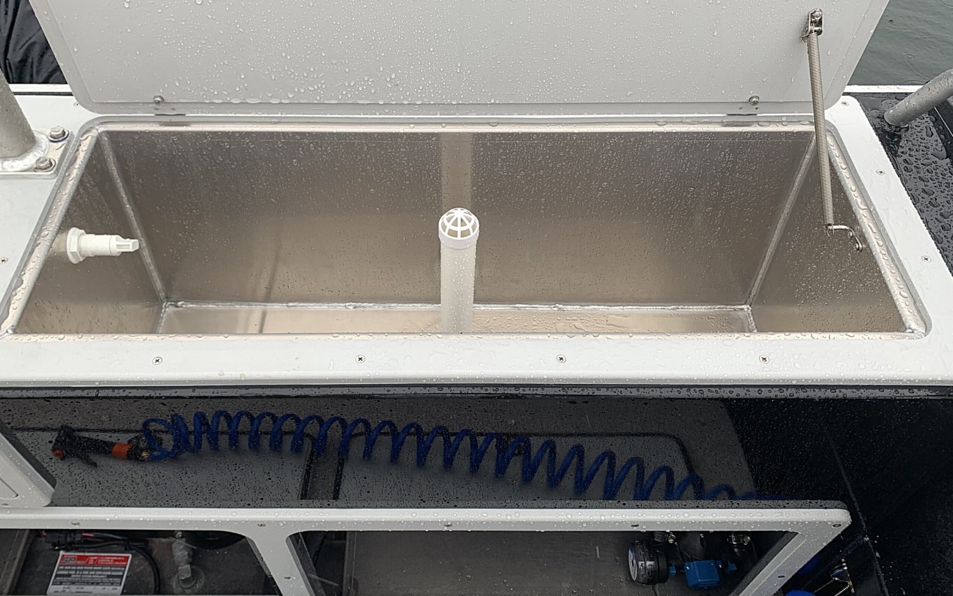 ALLIED MUSTANG P21 & P21HT