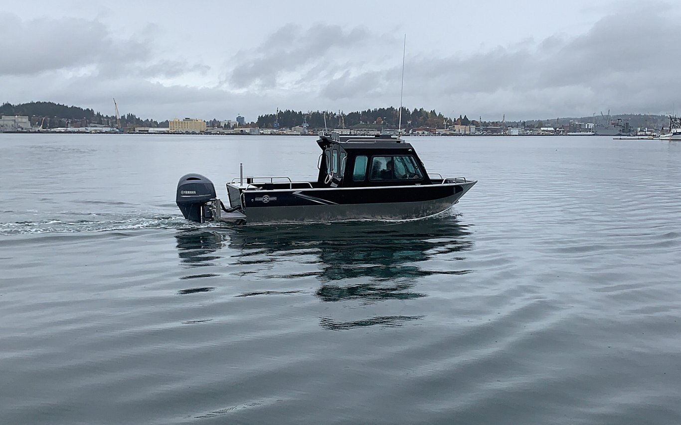 ALLIED MUSTANG P21 & P21HT