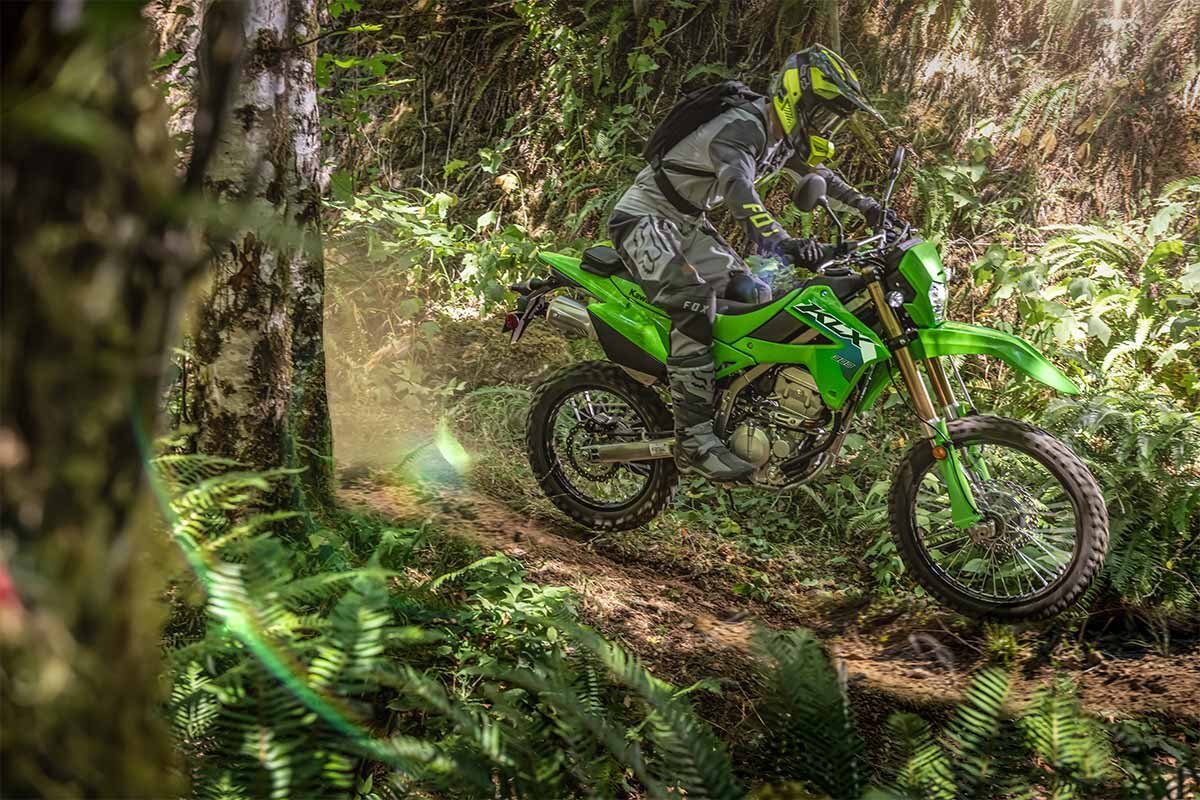 2026 Kawasaki KLX300 Lime Green