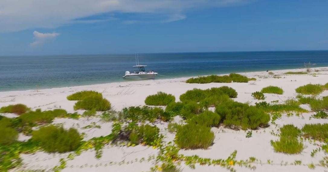 2026 EdgeWater 250CC Center Console Series