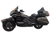 2025 Motor Trike GL1800 Condor