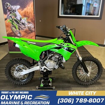 2024 Kawasaki Z500 | Style & Attitude | $86 BW