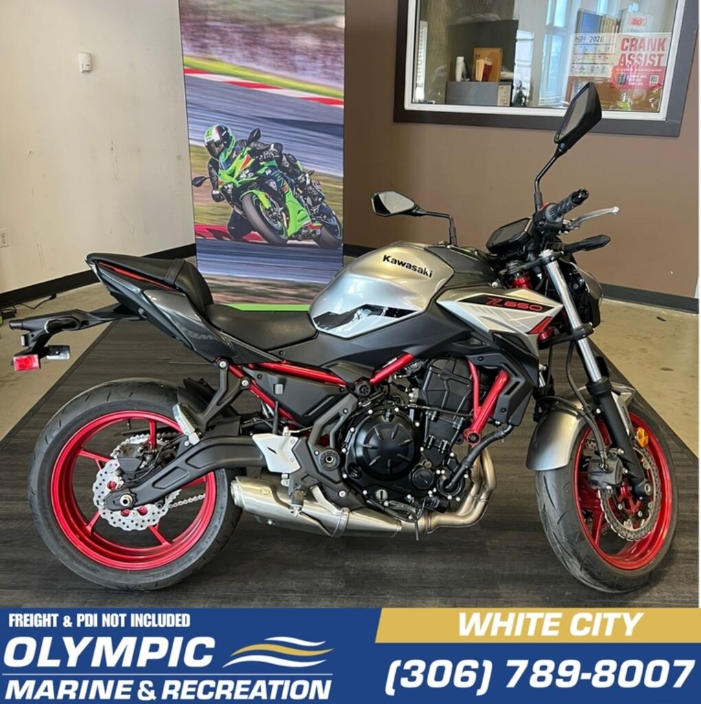 2023 Kawasaki Z650 | Stimulate Your Senses