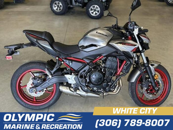 2024 Kawasaki Z500 | Style & Attitude | $86 BW