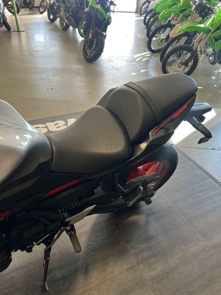2023 Kawasaki Z650 | Stimulate Your Senses