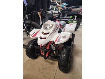 2026 Taotao Tao Rock 110cc