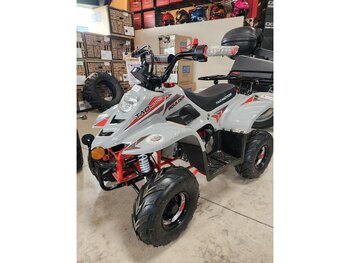 2026 Taotao Tao Rock 110cc