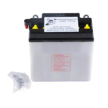 Batterie Yuasa YuMicron YB30L B