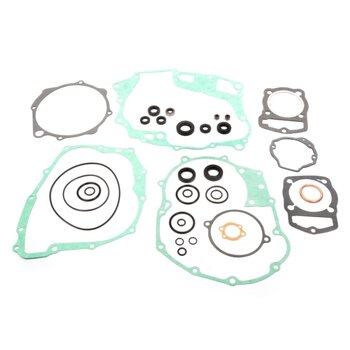 VertexWinderosa Complete Gasket Set with Oil Seals 811 Fits Honda 059610