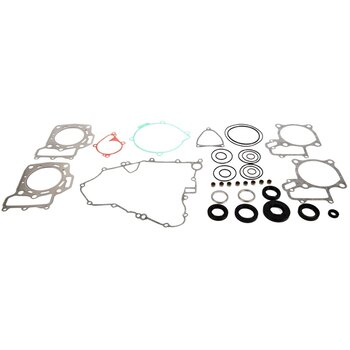 VertexWinderosa Kit complet de joints de moteur pour chat arctique, Fits Kawasaki 059251