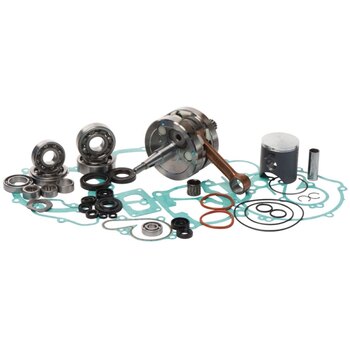 VertexWinderosa Complete Engine Kit Fits Polaris 1