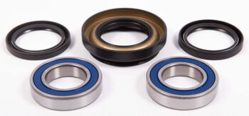 All Balls Wheel Bearing & Seal Kit Fits KTM, Fits Honda