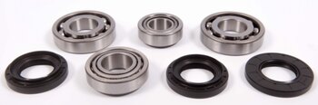 Kimpex HD Differential bearing & Seal Kit