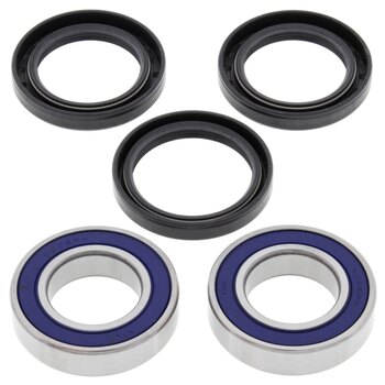 All Balls Wheel Bearing & Seal Kit Fits Arctic cat, Fits Adley, Fits Can am, Fits E TON, Fits Kawasaki, Fits Kymco, Fits Polaris