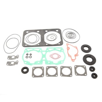 VertexWinderosa Professional Complete Gasket Sets with Oil Seals Fits Ski doo 09 711210