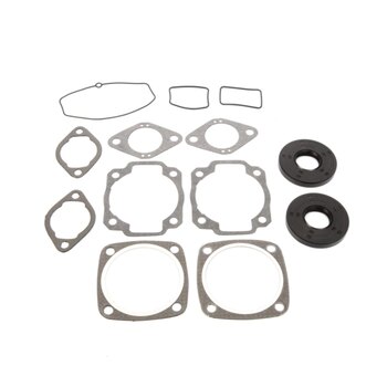 VertexWinderosa Professional Complete Gasket Sets with Oil Seals Fits Ski doo 09 711210