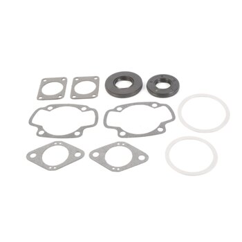 VertexWinderosa Professional Complete Gasket Sets with Oil Seals Fits Arctic cat 09 711225