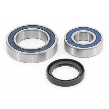 Sceau SIERRA & Gimbal Bearing Kit 18 2100K