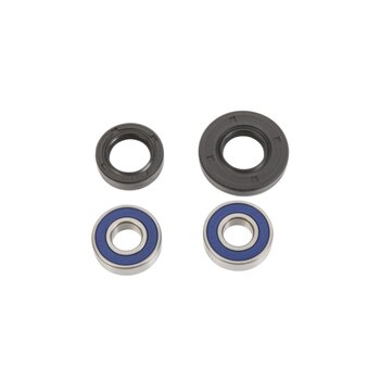 All Balls Wheel Bearing & Seal Kit Fits Harley Davidson