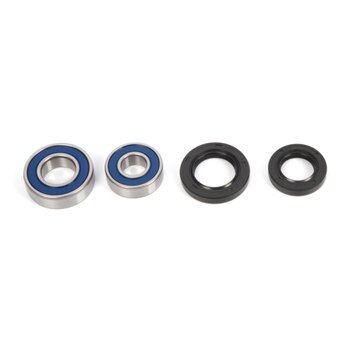 All Balls Wheel Bearing & Seal Kit Fits Arctic cat