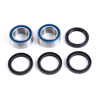 All Balls Wheel Bearing & Seal Kit Fits Arctic cat