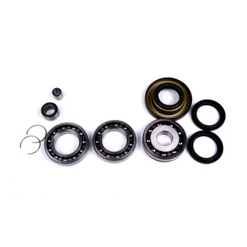 Kimpex Kit de réparation de roulement de différentiel HD pour Honda