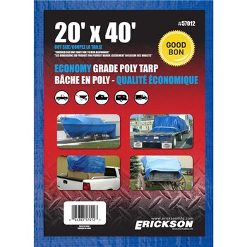 SANGLE DE TREUIL MAIN ERICKSON 2 X 20' (06410)