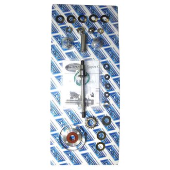 Kit de reconstruction de soupape de puissance WSM