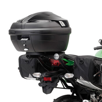 MONORACK ARMS ER6N 09 10/NINJA 650R 09 11