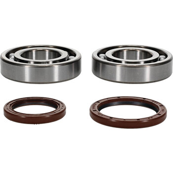 CRANKSHAFT BEARING KIT BETA EVO 4T 300 09 21