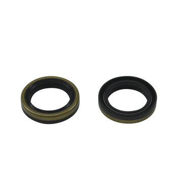 CRANKSHAFT BEARING KIT BETA EVO 4T 300 09 21