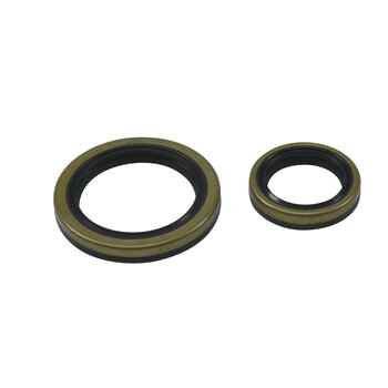 CRANKSHAFT BEARING KIT BETA EVO 4T 300 09 21