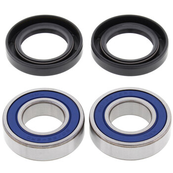 WHEEL BEARING/SEAL KIT SUZ TS250 SAVAGE 77 81