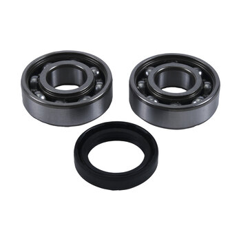 COUNTER BALANCER KIT RANGER 570 14 17