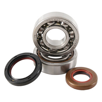 MAIN BEARING SEAL KIT ATC 250R 85 86